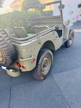 Jeep Willys Overland - Jeep Willys Oldtimer mit Benzin-Antrieb