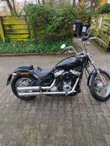 Harley-Davidson softail Standard  - HARLEY-DAVIDSON SOFTAIL STANDARD