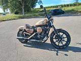 Harley-Davidson Iron 1200 / Endzeit Optik / Custom Paint