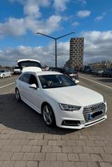 Audi A4 B9 8W - 2.0 TDI - 3x S-Line - Audi A4: B9
