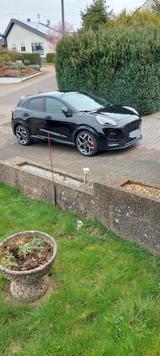 Ford Puma 1,5 l EcoBoost STX - Ford Puma von privat