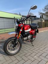 Honda MONKEY Z 125 - HONDA MONKEY