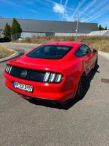 Ford Mustang 5.0 Ti-VCT V8 GT Auto GT - gebrauchte Ford Mustang aus dem Jahr 2017