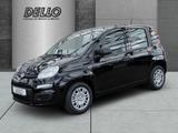 Fiat Pandina ICON Hybrid Parksensoren Klimanlage Blue - Fiat New Panda Benziner Gebrauchtwagen