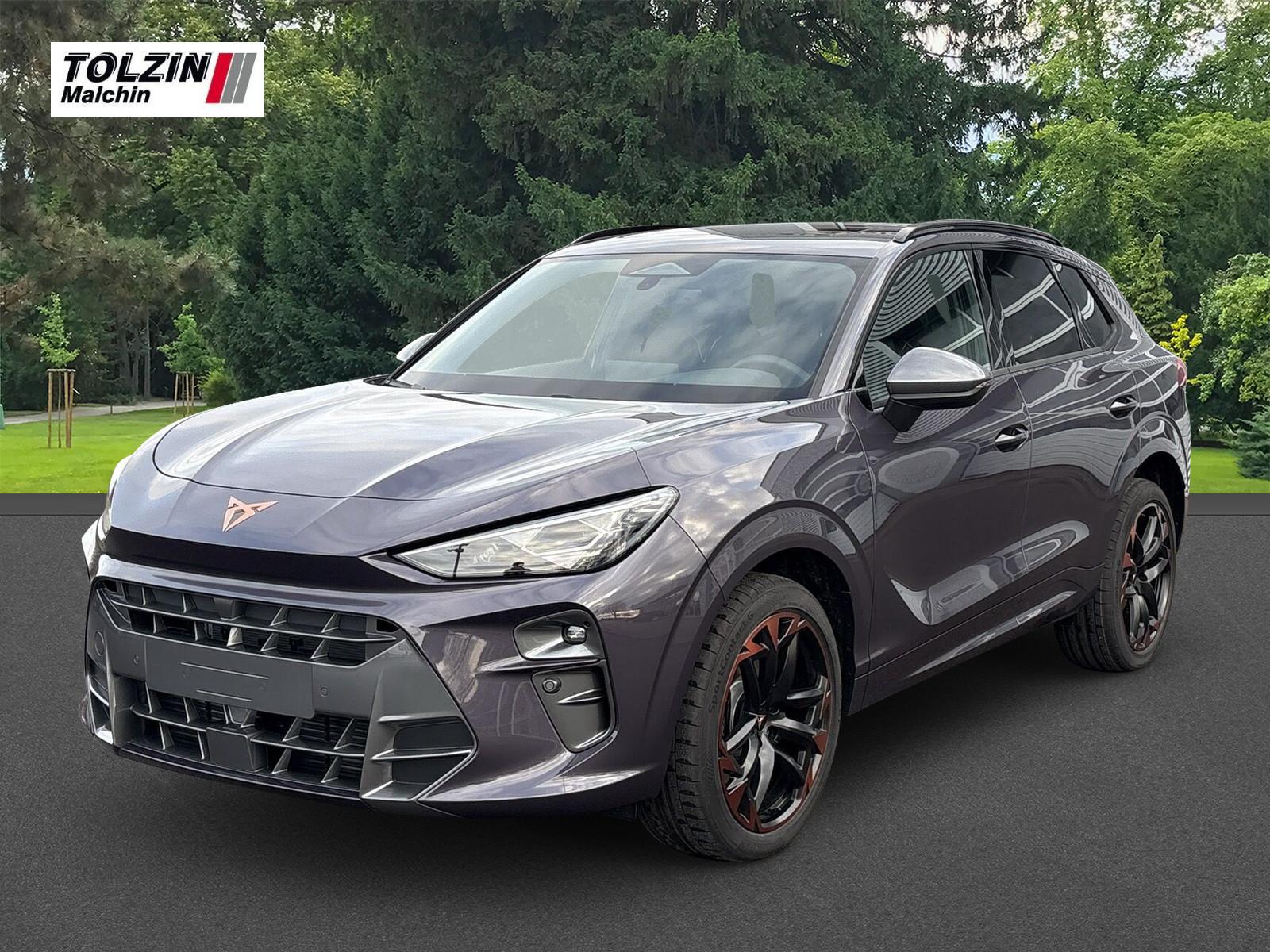 Cupra Terramar 2.0 TSI 4Drive VZ