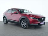 Mazda CX-30 Selection HeadUp|LED|ACC|Kamera|BOSE|SHZ - Mazda CX-30 Gebrauchtwagen in Frankfurt