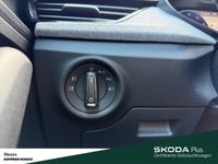Skoda Kamiq - Vorschau Bild 15