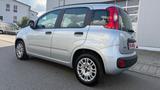 Fiat Panda 1.2 TÜV,KLIMA,1-HAND,22.000KM - Fiat Panda Gebrauchtwagen in Stuttgart