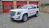 Cadillac Escalade 6.2 V8 Platinum Autom. Platinum - Cadillac aus 2017