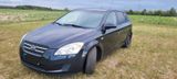 Kia cee'd / Ceed 1.6 mit Prinz Gasanlage - Kia aus 2008: Cee D