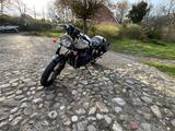 Triumph Thruxton Ace 900 Special Edition - TRIUMPH THRUXTON 900