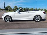 BMW 218d Cabrio M Sport;Neuwertig;Scheckheft - BMW 218 in Leipzig