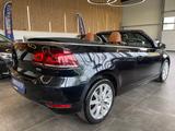 Volkswagen Golf VI Cabriolet 1.6 TDI *XENON*LEDER*PDC*LED* - Volkswagen Golf mit Diesel-Antrieb: Cabrio, 1.6