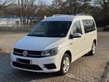 Volkswagen Caddy Maxi 2.0TDI Family 7-Sitzer - Volkswagen Caddy Maxi aus 2017