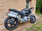 Ducati Monster S2R 800 - DUCATI MONSTER 800