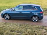 Mercedes-Benz tip-top Zust. u Werkstatt geprüft/DCT/AHK/Mbuxx - Mercedes-Benz B-Class: Mb