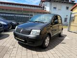 Fiat New Panda 1.1 8V Active - Fiat New Panda Gebrauchtwagen