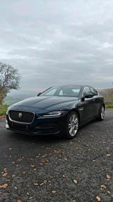Jaguar XE P250 SE | Facelift | 250 PS | To... - Jaguar XE SE mit Benzin-Antrieb