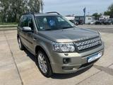 Land Rover Freelander 2 HSE SD4 - Land Rover Freelander Gebrauchtwagen