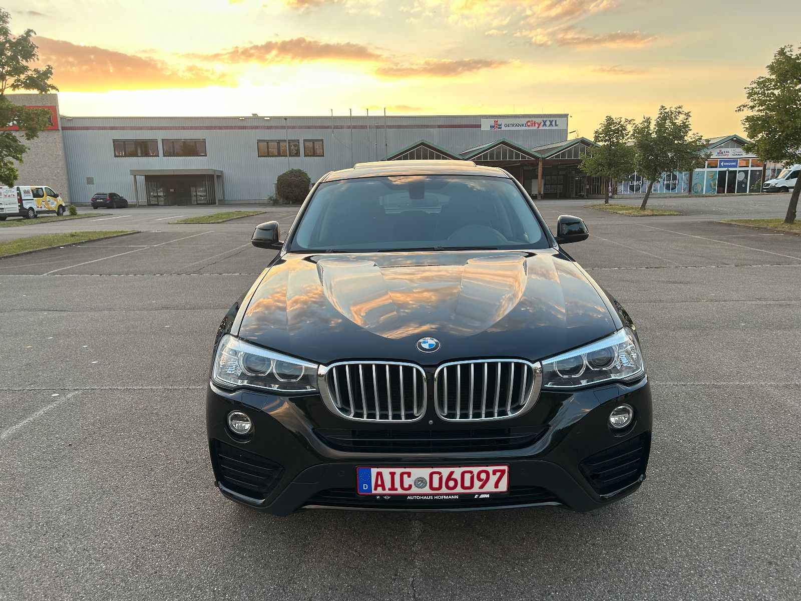 BMW X4-xDrive30d-BiXenon-Kamera360-PDC-elSD-SHZ-DAB-