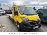 Fiat Ducato Maxi Pritsche/Kipper 35 160 L4 Pritsche R - Fahrgestell Ducato
