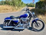Harley-Davidson Sportster 1200 Custom, 5JD, Extras,  Gewährl- - HARLEY-DAVIDSON 2005 SPORTSTER 1200