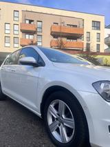 Volkswagen Golf 1.4 TSI 90kW BMT Comfortline Comfortline - Volkswagen Golf: 1.9