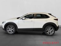Mazda CX-30 - Vorschau Bild 2