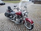 Harley-Davidson Harley Davidson FLSTCI  - Harley-Davidson Motorräder in Dresden