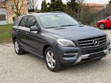 Mercedes-Benz ML 250 BlueTEC 4MATIC - Mercedes-Benz ML 250 mit Diesel-Antrieb: Geländewagen