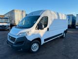 Fiat Ducato 250*55.000km*Maxi*Schalter*Klima*Tempomat - Fiat Kastenwagen hoch + lang Ducato maxi
