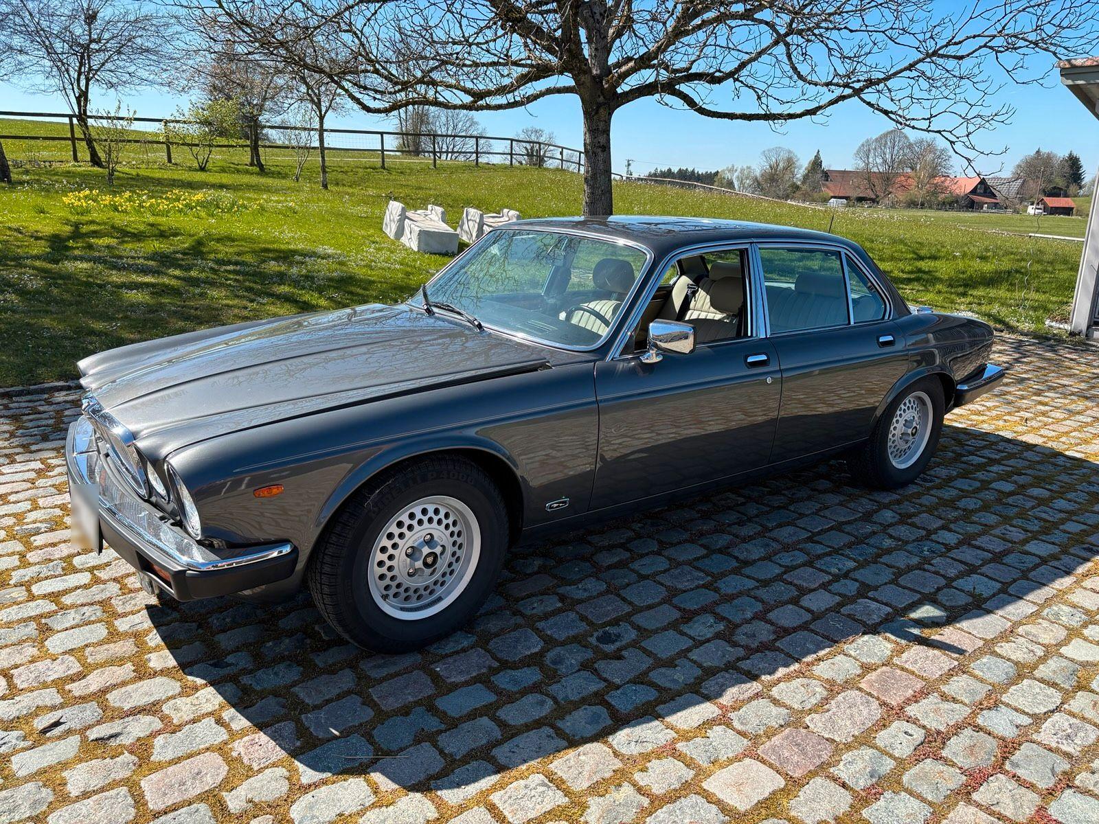 Jaguar XJ12