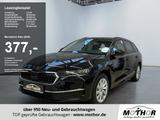 Skoda Octavia Combi Selection 1.5 TSI DSG 2xKlima - Skoda Octavia Neuwagen in Stuttgart