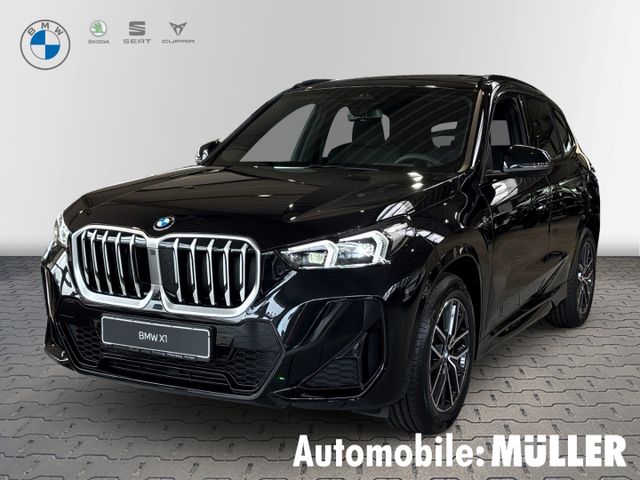 BMW X1 sDrive20i M Sport Navi Klima Pano AHK RFK HuD