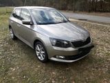 Skoda SKODA FABIA JOY mit Top Ausstattung - Skoda Fabia: Ausstattung