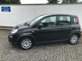 Fiat Panda MY24 1.0 GSE Hybrid Klimaanlage - Fiat Panda Gebrauchtwagen in Aachen