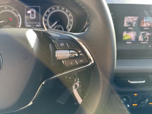 Fabia 1.0 TSI Tour, Businesspaket, Winterpaket,