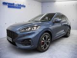 Ford Kuga 2.0 EcoBlue 4x4 Aut. ST-LINE X AHK NAVI RFK - Ford Kuga: Allradantrieb