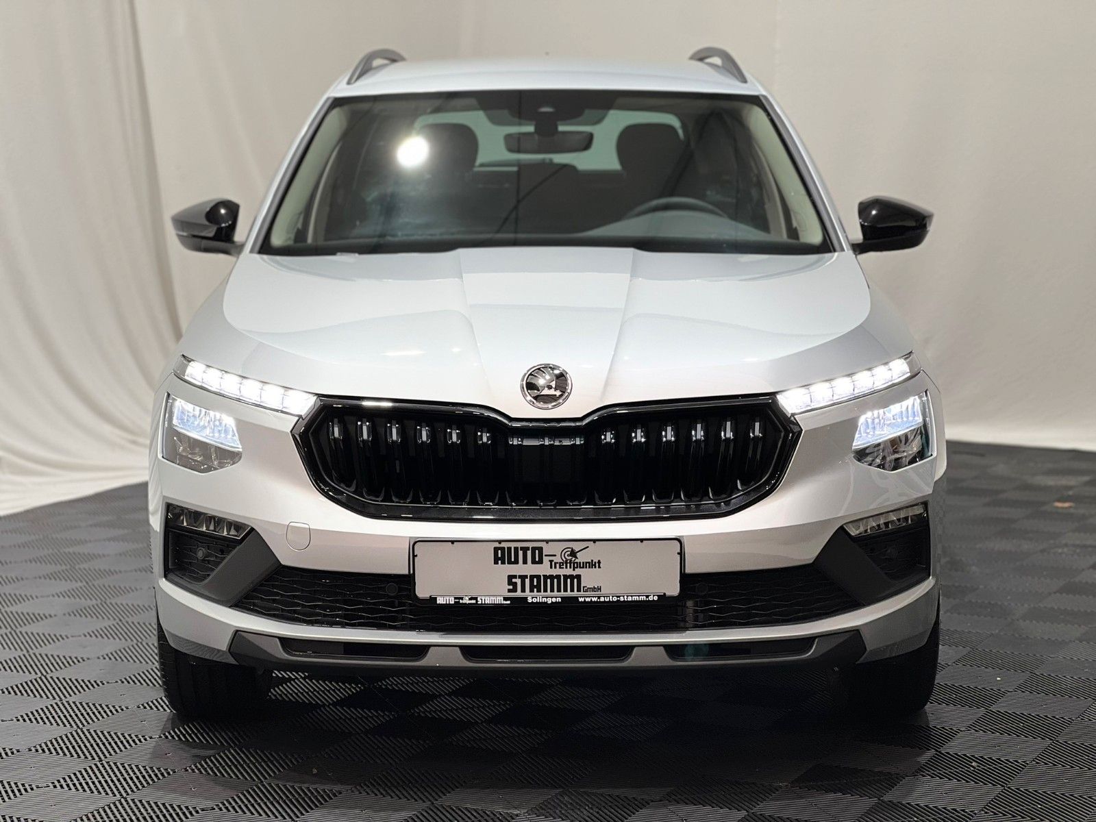 Fahrzeugabbildung SKODA Kamiq Selection / DSG / Kamera / 17 Zoll