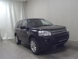Land Rover Freelander 2.0 eD4 HSE Leder Xenon Navi Pano AHK - gebrauchte Land Rover Freelander aus dem Jahr 2011