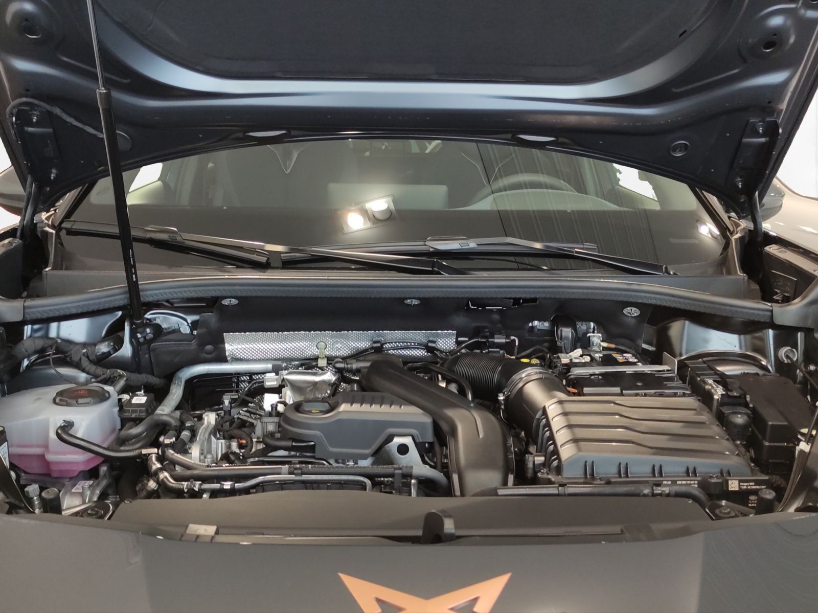 Cupra Terramar - Bild 20