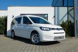 Volkswagen Caddy Maxi LIFE DSG verstellbare Gittertrennwand - Volkswagen Caddy Tageszulassungen