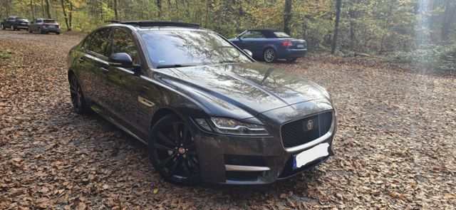 Jaguar XF 30d 300PS R-Sport Automatik R-Sport + LED 