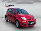 Fiat Pandina ICON Hybrid MHEV*KLIMA*PDC*USB*DAB*RADIO - Fiat Panda Tageszulassungen mit Benzin-Antrieb