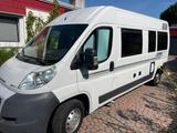 Knaus Sehr schöner und gepflegter BoxStar 600 Ducato - Knaus Kastenwagen