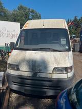 Fiat Ducato 2,8 - gebrauchte Fiat Ducato aus dem Jahr 2000