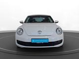 Volkswagen Beetle 1.2 TSI Komfortpaket*Alu Klima - gebrauchte VW Beetle aus dem Jahr 2013
