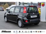 Fiat Panda Hybrid 1.0 GSE NEUES MODELL 2024 CITY TEMP - Fiat aus 2024