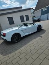 Lamborghini Gallardo LP550-2 Spyder - - Lamborghini: Lp