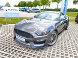 Ford Mustang 5.2 V8 org. Shelby Gt350 Schalter. B&O - Ford Mustang: Shelby Gt350